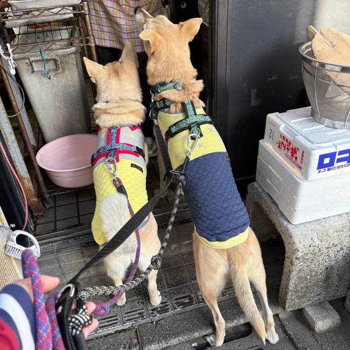 75dee589 ca8d 4452 87a5 8857cc6e5cbf 1765263994314