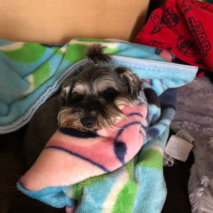 75df2821 c1f1 477c b86b ed5eee56d947 1560655500867