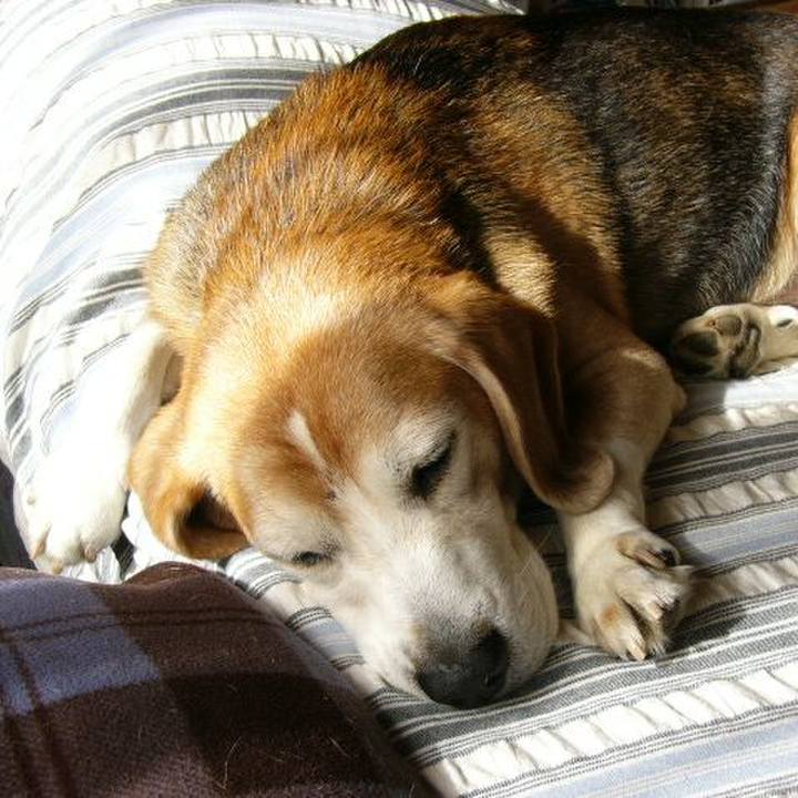 75df5d75 3be5 47e7 8535 4e59cd3d96bd 1644452502770