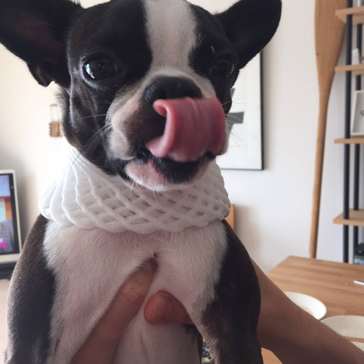 75df79c8 2a3f 4fbc b94b 730b3df8097f 1512949696888