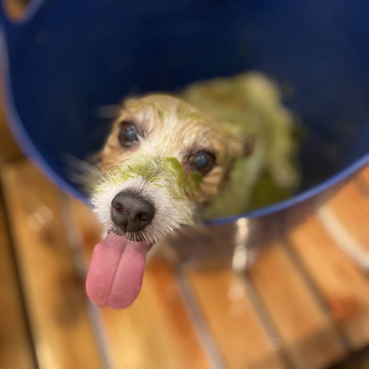 75df79fb 2876 456b a18a 99810a9c8901 1730606904638