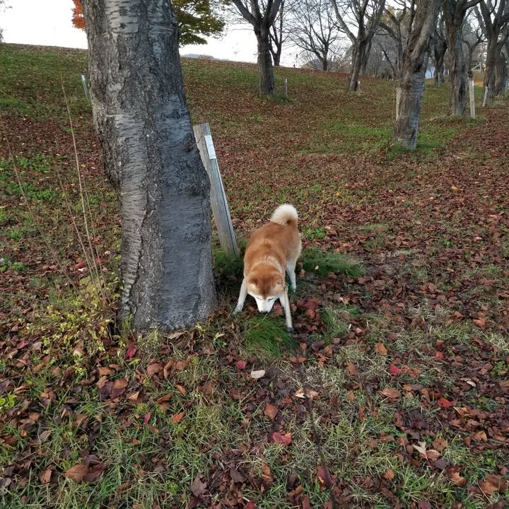 75dfbd61 d369 4e6c ac40 155046b1ebde 1667978477558