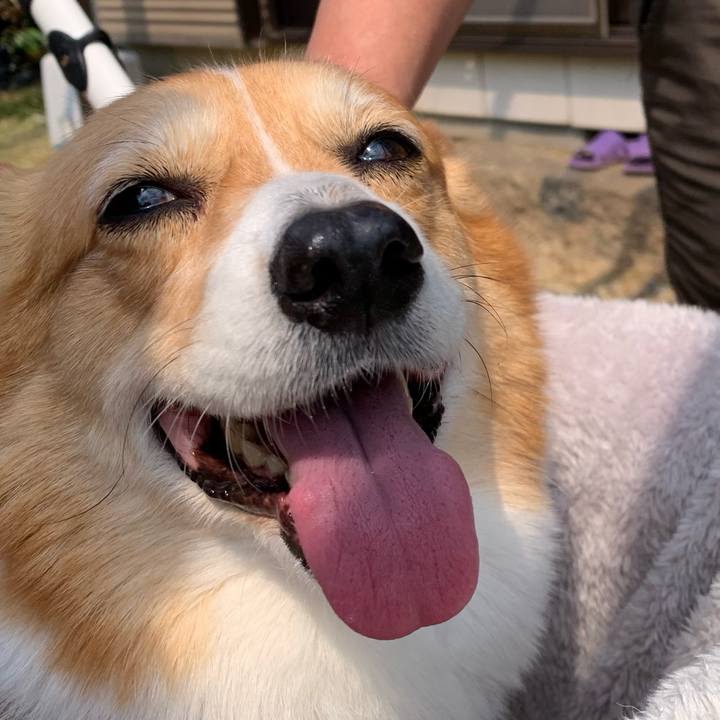 75dfbd86 052b 4390 a1d6 2ac213efda87 1680493137593