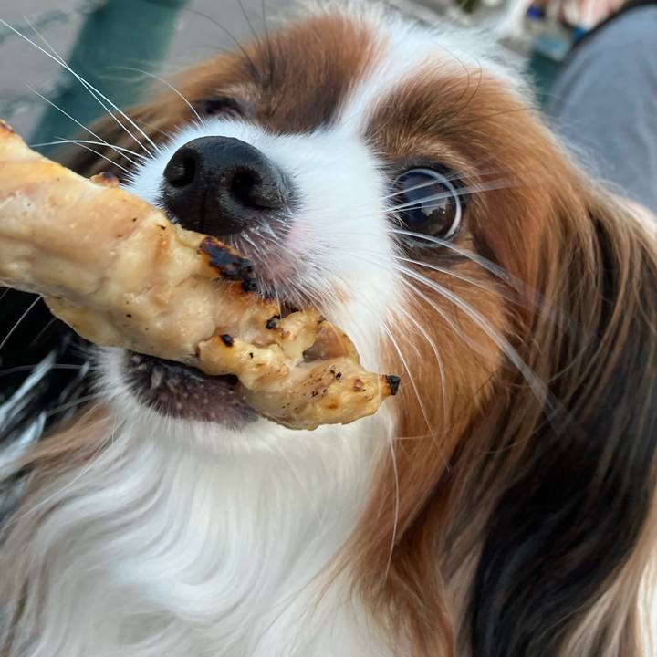 75e01e89 4835 44c4 b098 1c1cb10d2f48 1691240987017