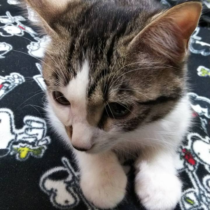 75e025b0 9ef9 48a9 aaf2 8173084c1008 1609415317424