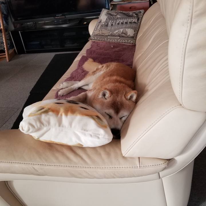 75e027bd 9098 453c 898c ff7fb16b80f2 1736384323848