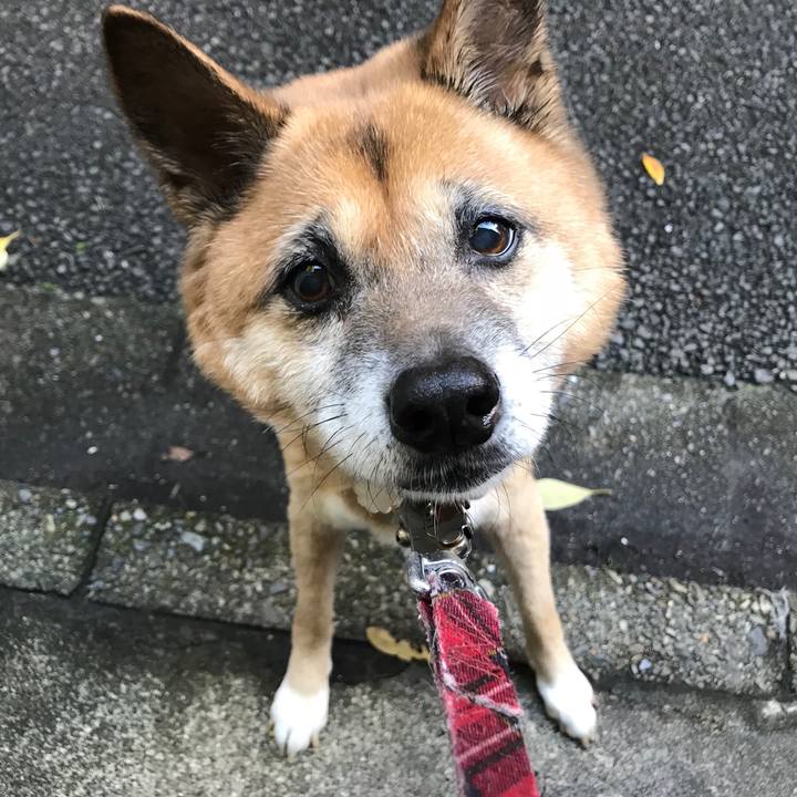 75e02eef 694e 4eda b0c2 c636745f0cf1 1509316212665