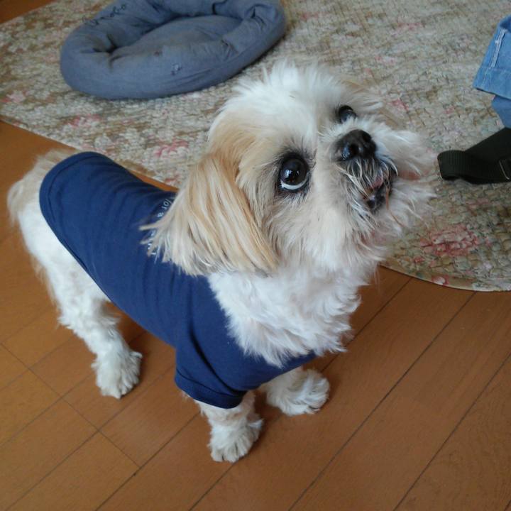 75e03d88 958c 41b2 8116 73d5bbadc7c5 1524028210892