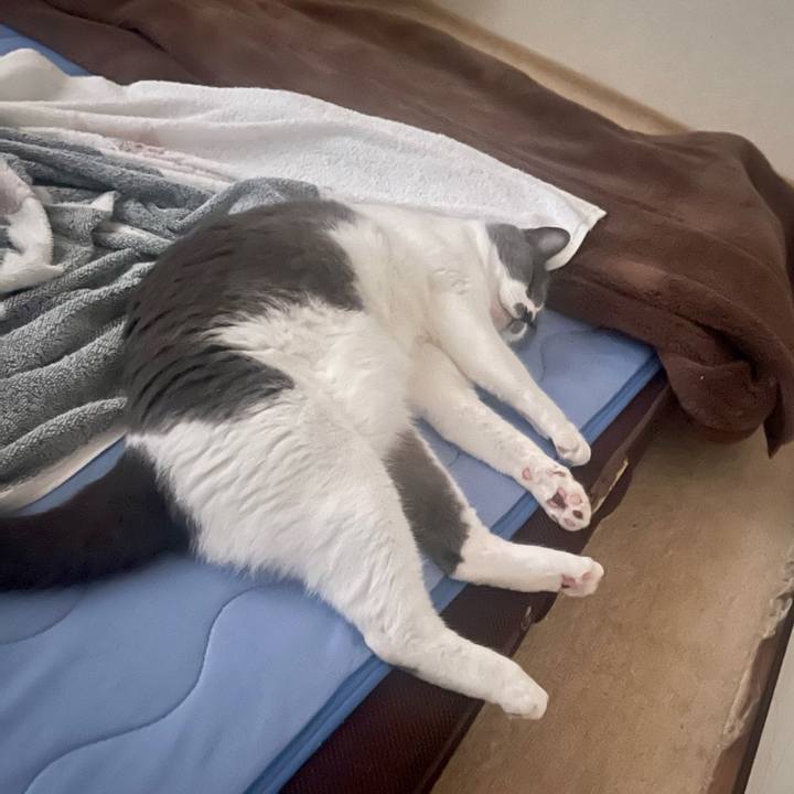 75e043e6 2fcd 435a 93ef 8b1be874768b 1687556458126