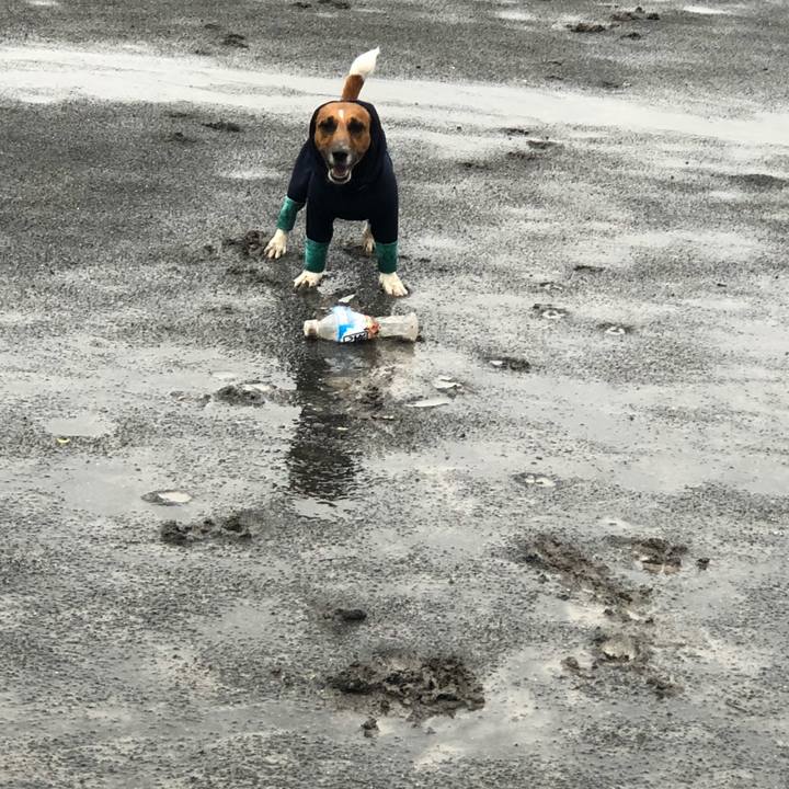 75e0681d 066e 43d4 8c40 fa32b2976caf 1525305257876