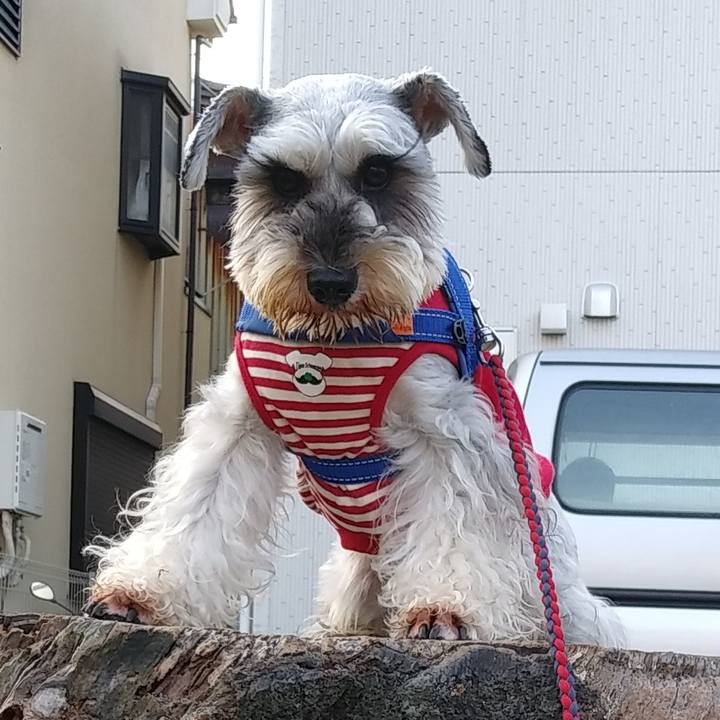 75e0a951 6866 4c6d 866b 35deb0f8b043 1607828194270