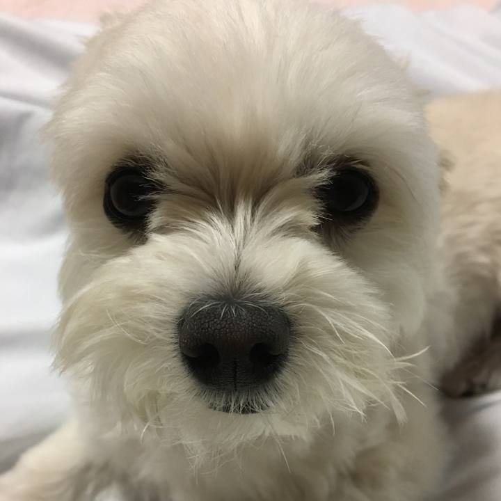 75e0cc04 114c 4749 90fe 66a0596aaba1 1528282113354