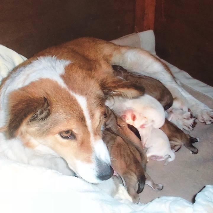 75e0cea6 6c06 4a35 b724 ae20059cc4a0 1531398036336