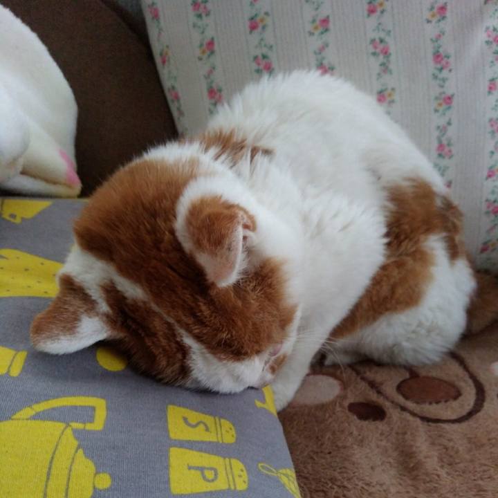 75e0ea55 c160 4b47 bb9a 38b256214c8c 1605318777143