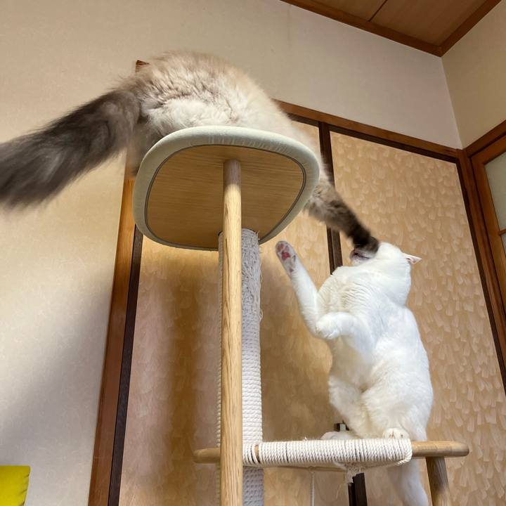 75e0eb5d c842 45e5 bc6e 0e76e1aacbcb 1726309553178