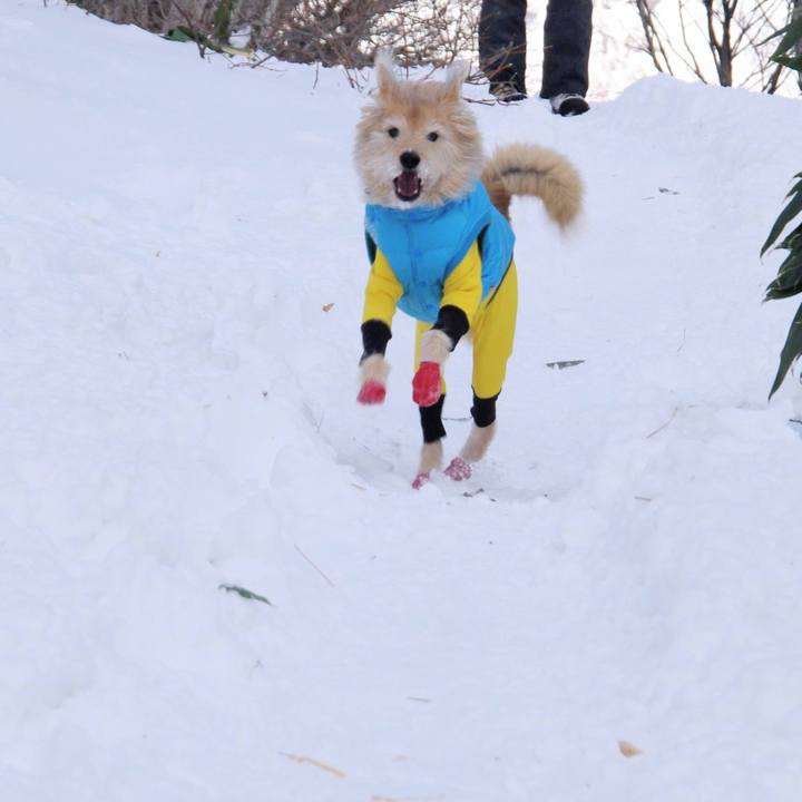 75e0f2a7 4352 43f9 afe1 ddc5a07857e3 1547506587452