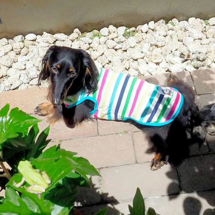 75e127ba 80e8 4b5d 9e53 18795e21bf4b 1527991474669