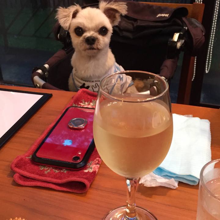 75e128e9 d5c7 4c8a ae64 b39d9bfedb8e 1564224917321