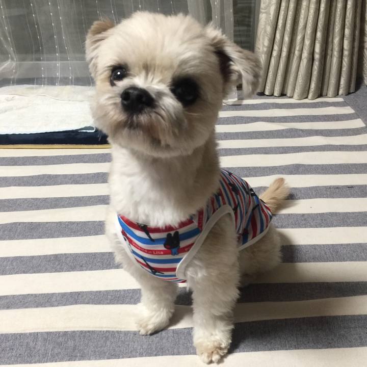 75e13496 6af0 4319 92ae c5b7f17bfa95 1523968576003