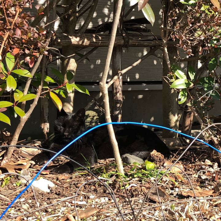 75e13550 195c 4457 9598 92e826a37692 1644765469685