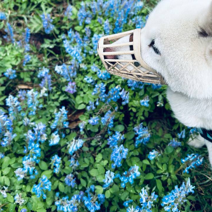 75e14227 b837 4c48 88d3 8018a5ab3f56 1745013034419