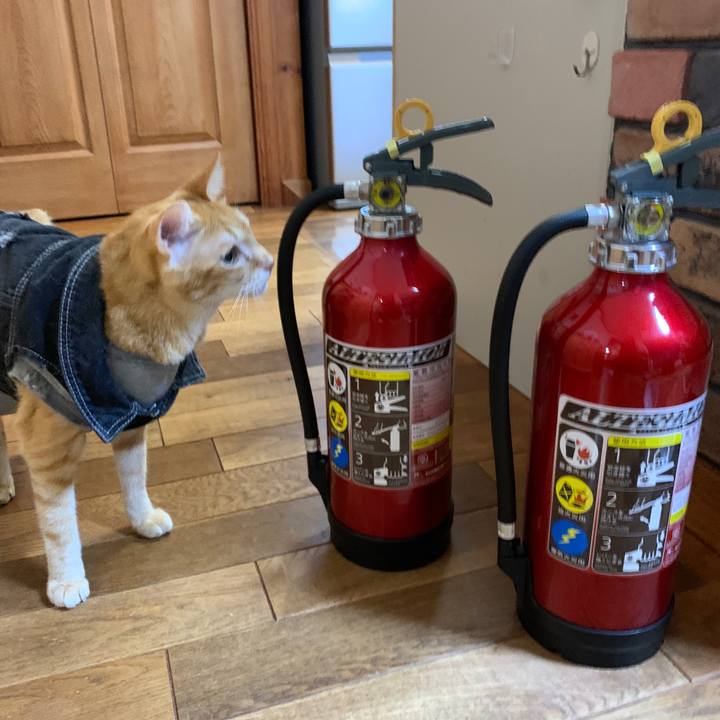 75e147b4 d0a1 4b13 8c66 094b7a00ed59 1651836020061