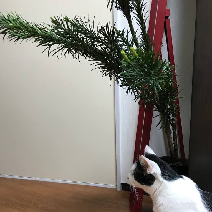 75e14a1e 9d47 447f 8a77 bd23f07c3e4f 1535023702218