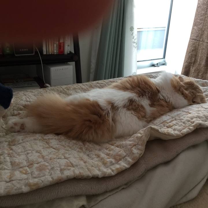 75e1ac3e 82dc 42e9 84d0 fb21ee82a711 1584170519860