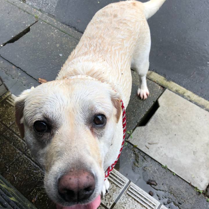 75e1acd9 3049 41f5 8374 367995bf2f0d 1595732877728