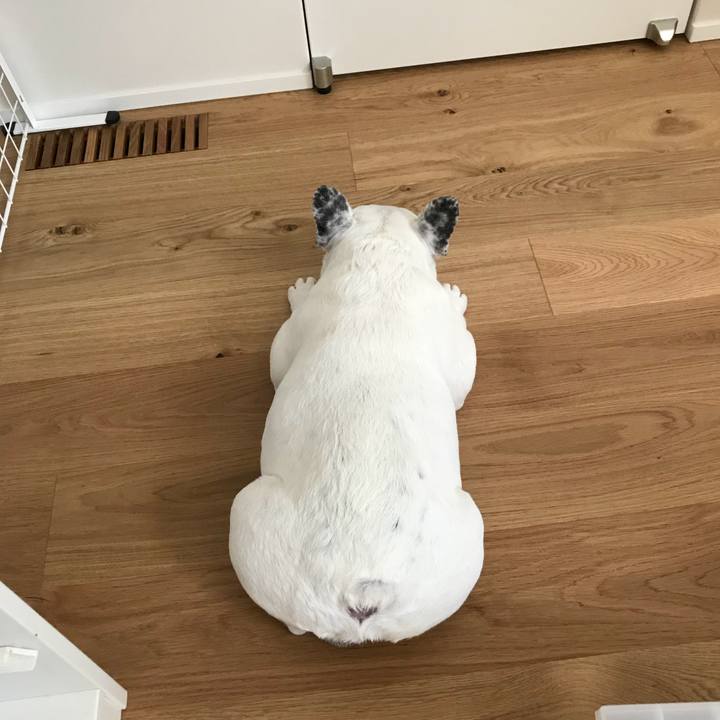 75e1e540 7b66 4dc6 b5d7 ba19e014269c 1567339112430