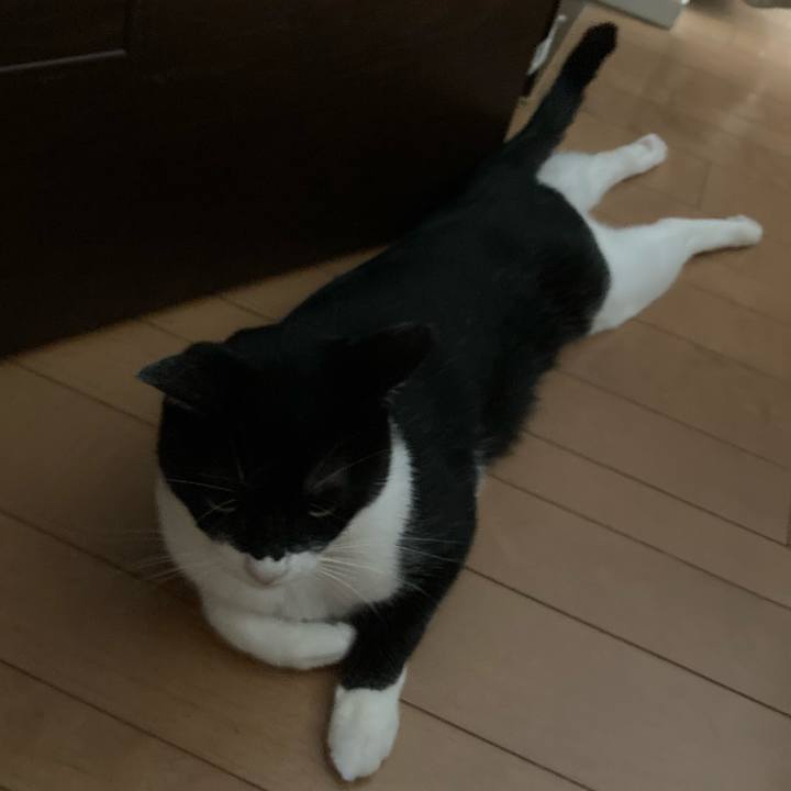 75e1fb58 89ab 415f b00e c250e35b4ea3 1622113794964