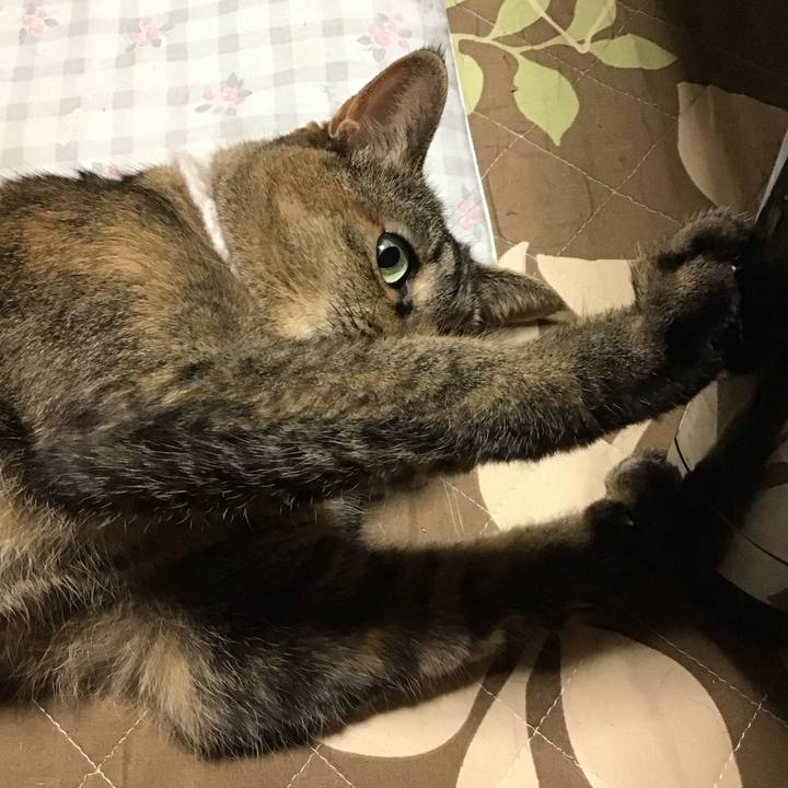 75e25288 4235 4bce 9702 087f94892039 1727436106270