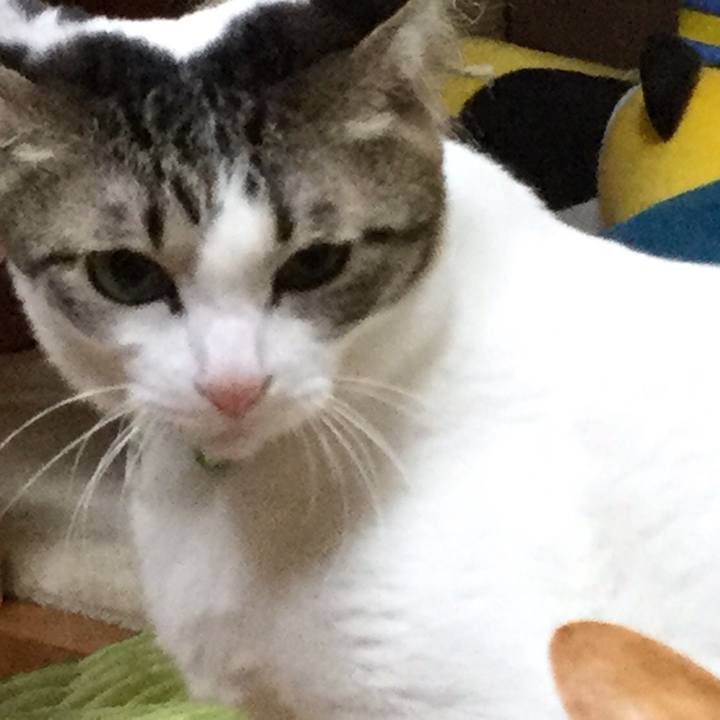 75e27738 dffb 4f1d bb21 40a741838bd5 1551181997459