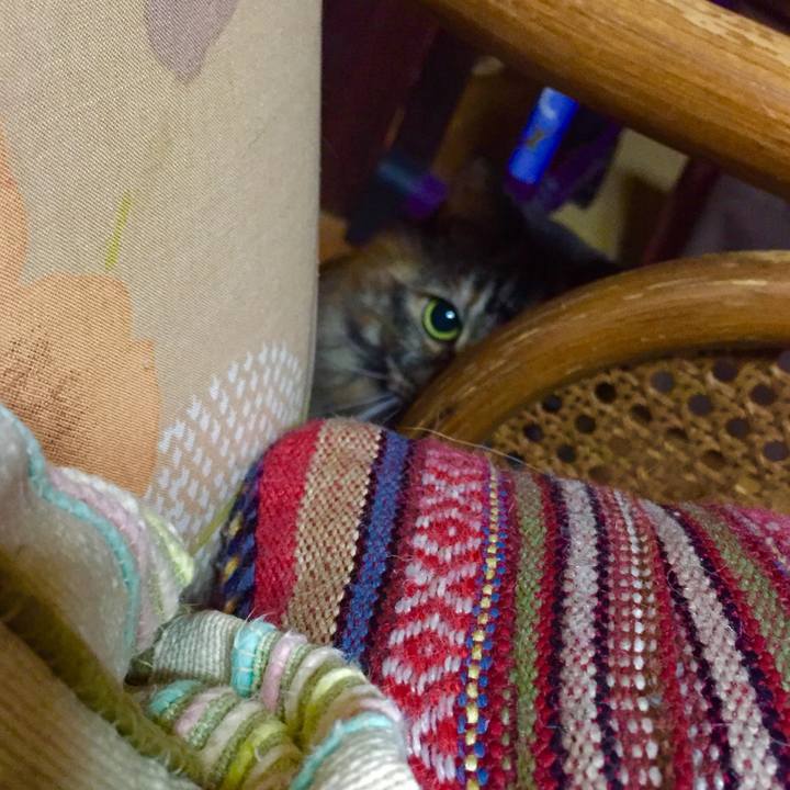 75e27fc4 ed33 43c4 bea8 da8ae5fb4b59 1575298411132