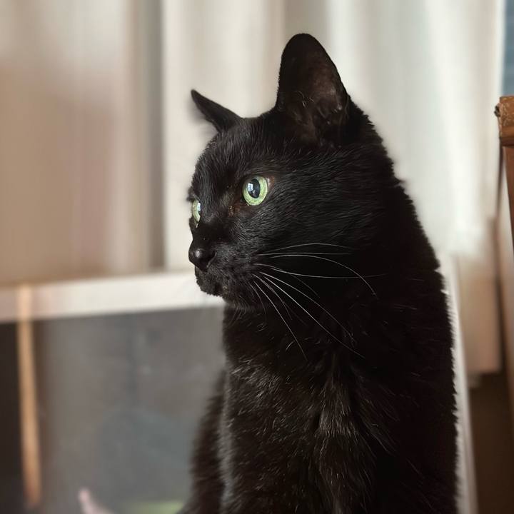 75e28130 7a45 4704 93c1 6b469a8f51bb 1683510725835