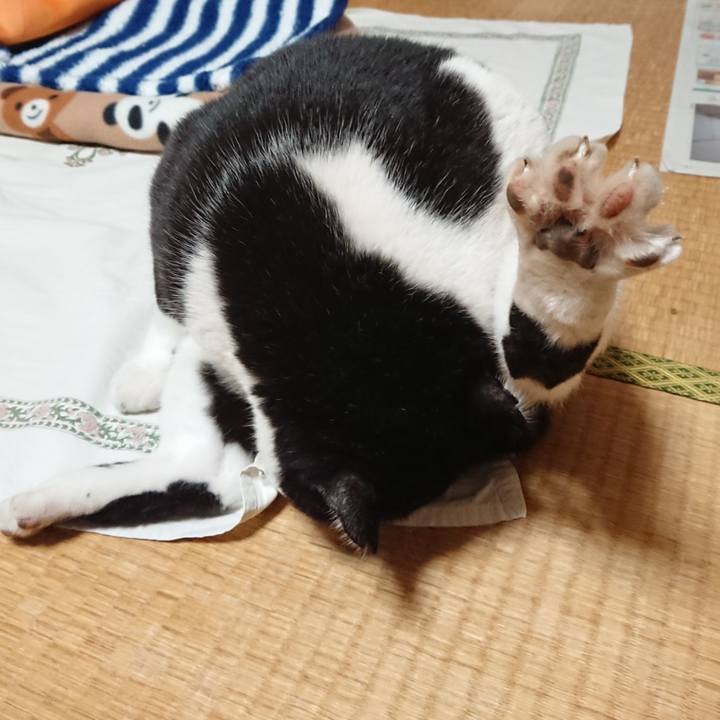 75e282d2 6bc3 4c02 91c3 bd28c9ad4c06 1604096534694