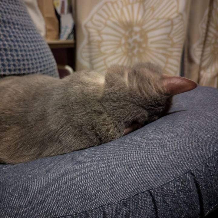 75e2943d ec00 497a 9c00 46bf5226766c 1759819087044