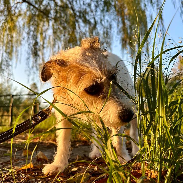 75e29f6b 867e 4d05 bb15 7f1a37ff5757 1728649984048