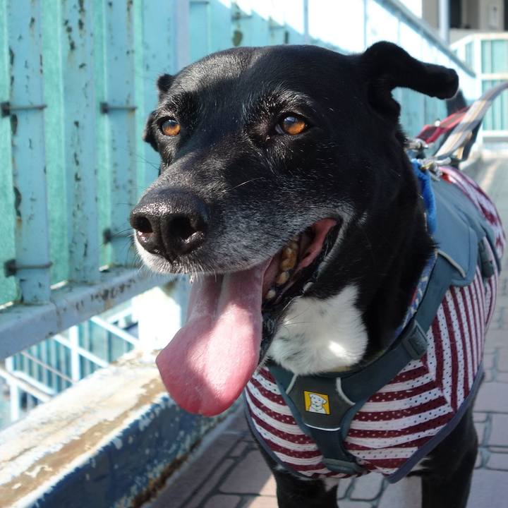 75e2b812 d444 4020 a21a 6e3716ee7e1f 1720052600720