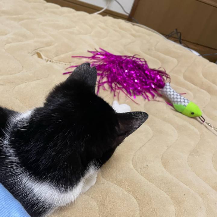 75e2c915 5246 4fb0 a0e1 6292894d0363 1680173923595