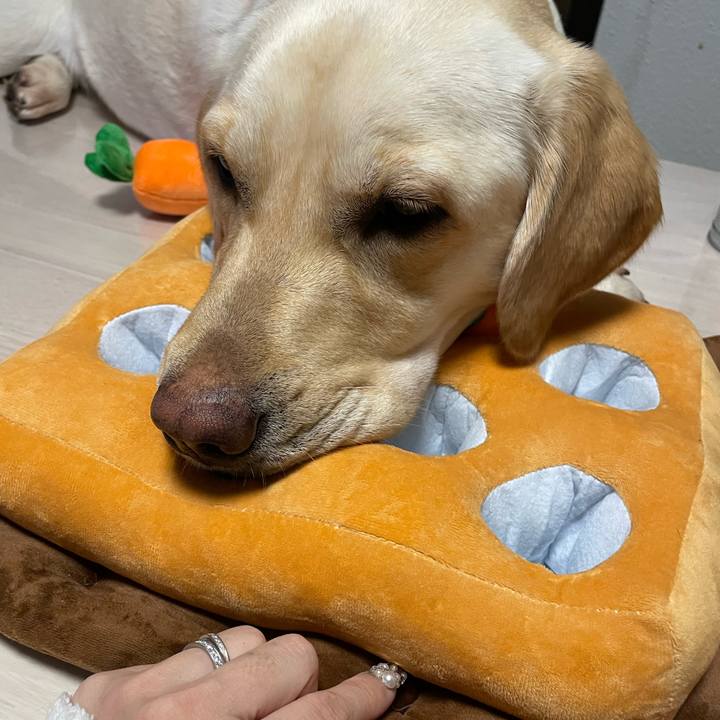 75e301f1 fb1c 459e af17 f37a27460886 1675955613861