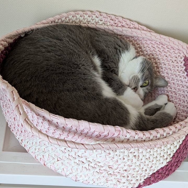 75e31a38 967e 4452 a731 6bca49257302 1751938728009