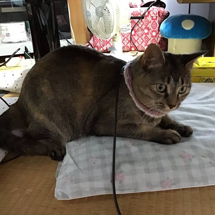 75e330a4 5826 4bc4 9277 713390e2a729 1625473238899