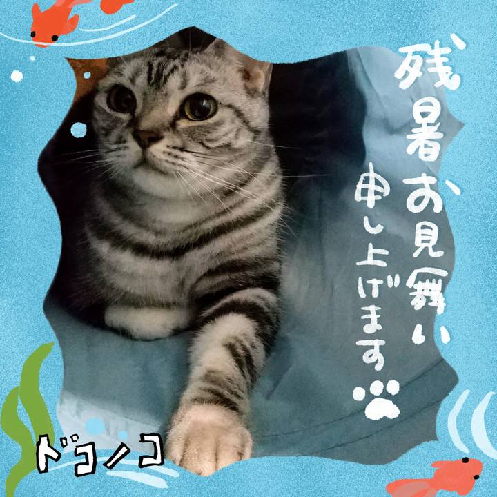 75e35457 ac34 492d b980 601882c724e1 1723467420570