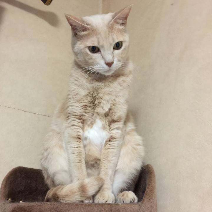 75e3823a 853e 44fe a1c8 bb24d60700e7 1509103064105