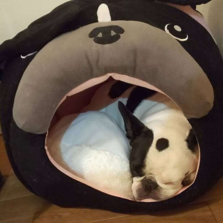 75e3a129 1eed 4033 8ade f3b0df1abf7a 1571570789088