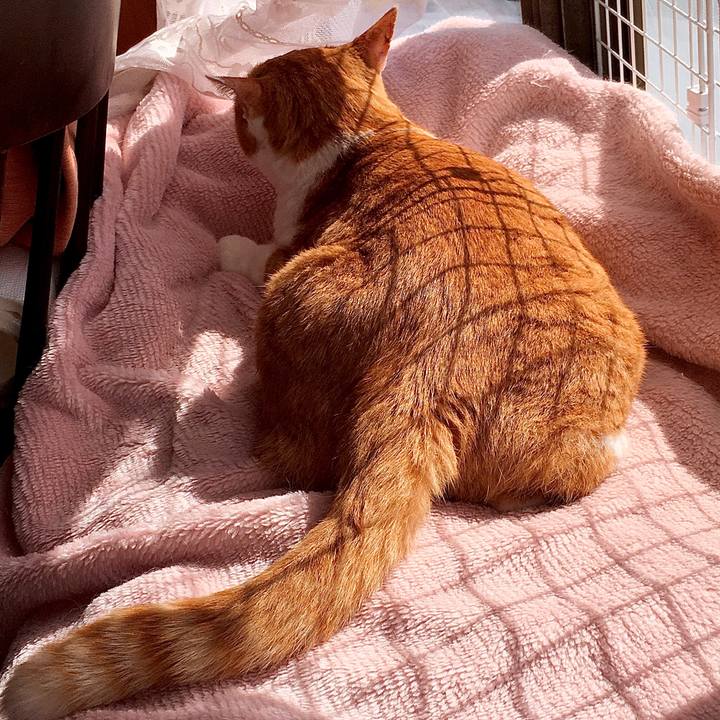 75e3cee5 8ef8 479f aa77 b8d23edc3937 1572848232722