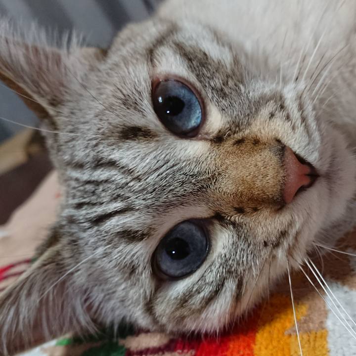 75e4012d ae0f 43b7 90b1 c123cdc785ef 1596894004345