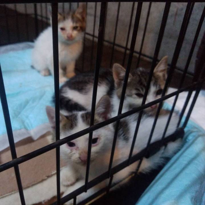 75e42714 28b9 47c2 9f9e 29b640997544 1631177443361