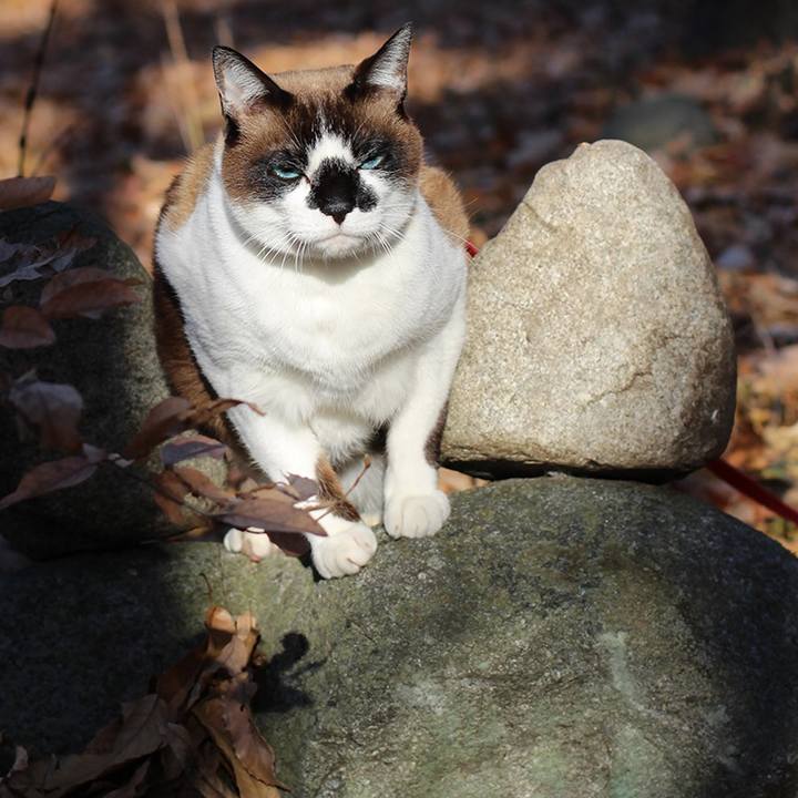 75e45440 27b7 4463 89dc 50af11c489d4 1599001311661